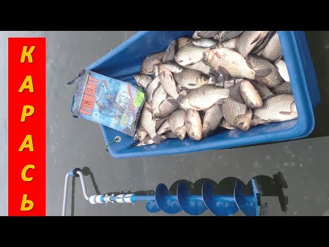 Видео: Ловля КАРАСЯ со льда