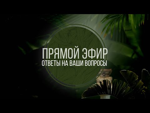 Видео: Унаследованное Тело - Прямой Эфир (Ответы на ваши вопросы)