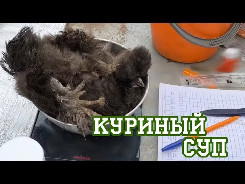 Видео: Раскопки в орлином вольере