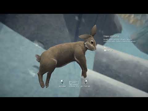Видео: The Long Dark -  [2] Белая мгла, 3 дня позади