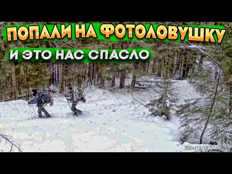 Видео: #185 ЗАПИСИ ИЗ ФОТОЛОВУШКИ ДПСУ. ЗИМНИЙ ПЕРЕХОД В РУМЫНИЮ.