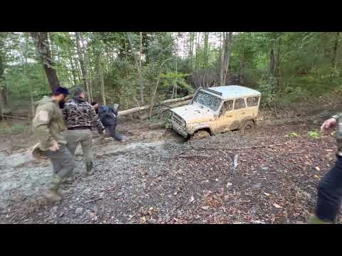 Видео: 7 декабря 2022 г.