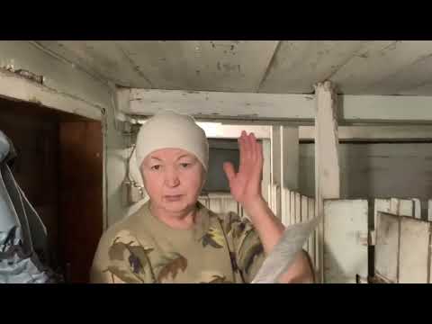 Видео: Козы и мои ответы на вопросы//