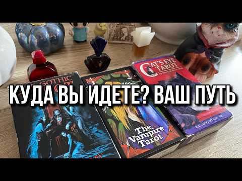 Видео: КУДА ВЫ ИДЕТЕ? ВАШ ПУТЬ 🐈‍⬛ гадание на таро Tarot Reading