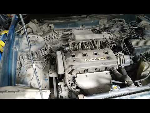 Видео: Toyota Corolla 4a-fe 1.6 Замена помпы