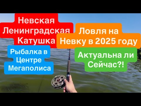 Видео: Крутая Рыбалка🔥Рыбалка на Невскую Катушку🔥Ленинградская Катушка Снова в Деле🔥Так Ловили Деды🔥Рыбалка