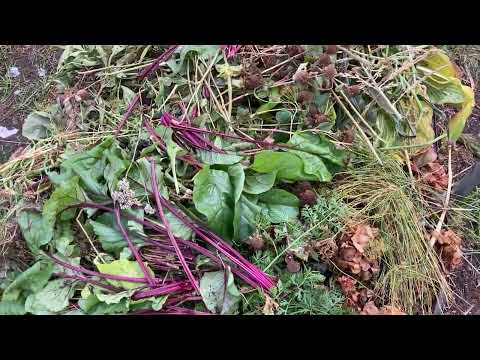 Видео: Готовлю грядку для огурцов