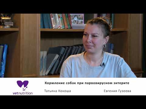 Видео: Кормление собак при парвовирусном энтерите