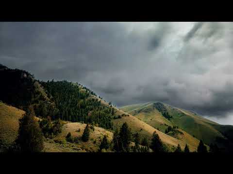 Видео: Хьехам Ухьуд Г1азот (Часть 1)