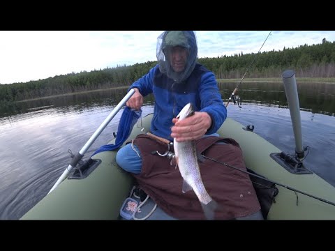 Видео: Alaska. На квадроцикле в тайгу.Таежное озеро.Рыбалка. Радужная форель.