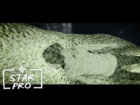 Видео: Танцы минус - Цветы (Цветут цветы)