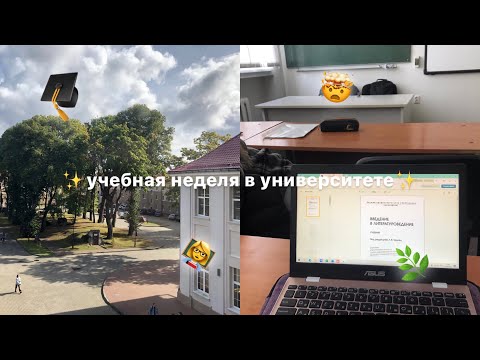 Видео: моя учебная неделя в университете | филология