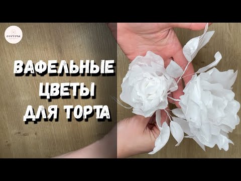 Видео: Вафельные цветы для торта 🌷Вафельная флористика. МК для кондитера.