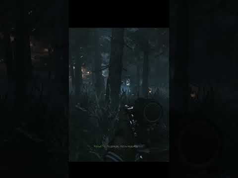 Видео: Call of Duty: Modern Warfare (2019) — ПОЛНОЕ ПРОХОЖДЕНИЕ #callofduty #callofdutymodernwarfare