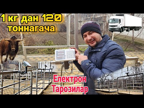 Видео: Электрон тарози керакми ? Энди биринчи қулдан олинг +Доставка Узб буйича