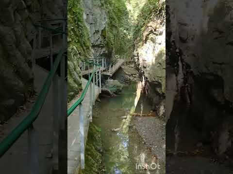 Видео: Свирское ущелье, Лазаревское