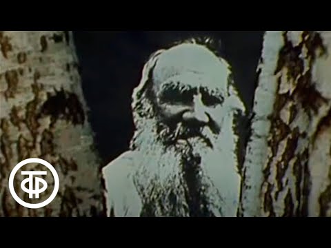 Видео: Слово о Льве Толстом. Рассказывает писатель Виктор Шкловский. Фильм 2 (1978)