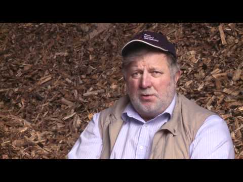 Видео: Энергия из леса - Преимущества для местной экономики