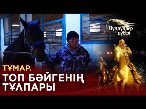 Видео: Тұмар. Топ бәйгенің тұлпары.«Дүлдүлдер дүбірі»