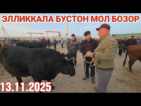 Видео: 13 ноября 2025 ЭЛЛИККАЛА БУСТОН МОЛ  БОЗОР