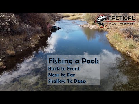 Видео: Рыбалка в бассейне: от заднего края к переднему, от близкого к далекому, от мелкого к глубокому