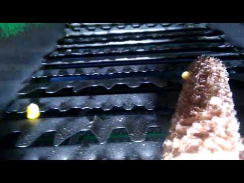 Видео: Улучшение качества уборки Дон 1500Д