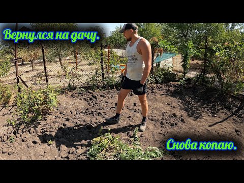 Видео: Вернулся на дачу, снова копаю и удаляю дикий хмель. Ездили в гости к Маме.