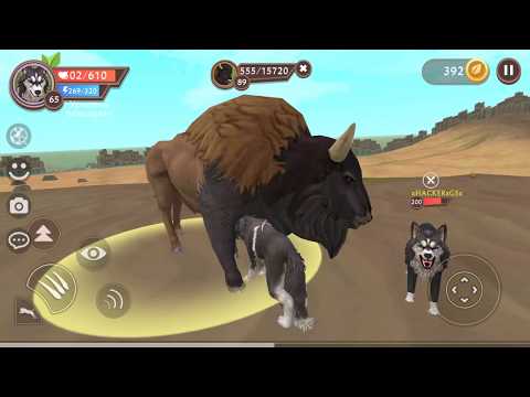 Видео: СИМУЛЯТОР ВОЛКА #38 КАК ПОБЕДИТЬ БИЗОН Жизни Зверей WildCraft про котят лис собак ДЕТСКИЕ ИГРЫ