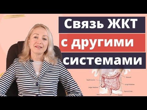 Видео: Желудочно кишечный тракт. Связь  ЖКТ с другими органами и системами.