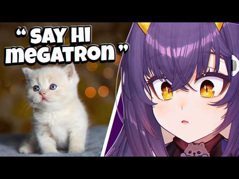 Видео: Рейтинг моих зрителей-питомцев