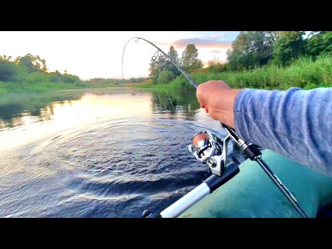 Видео: ЧТО ВООБЩЕ ПРОИСХОДИТ???!ОНИ БУДТО С УМА ПО СХОДИЛИ!!!МОЩНЫЕ ПОКЛЕВКИ ГОЛОДНЫХ ЩУК,ЭТО РЫБАЛКА.