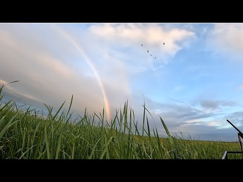 Видео: Открытие охоты на уток 2025 #Амурская область#