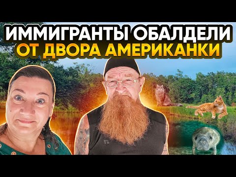 Видео: 10 КОШЕК🐈 ДВОР АМЕРИКАНКИ ✔КАФЕШКА И САЛЮТ НА СОБАЧЬЕЙ РЕКЕ