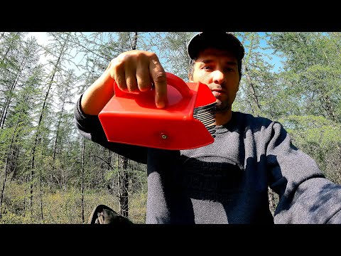 Видео: Испытываю новый комбайн ,сборка ягоды .Голубика