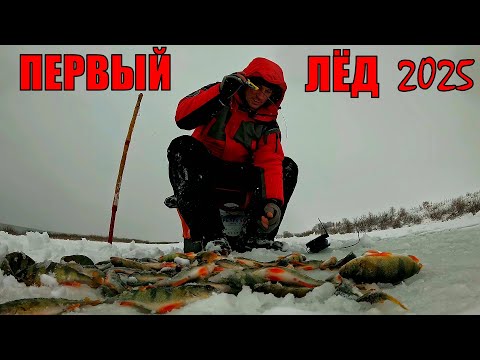 Видео: ТАКОЕ БЫВАЕТ РЕДКО ! БЕШЕНЫЙ КЛЁВ по ПЕРВОМУ ЛЬДУ ! ПОДВОДНАЯ СЪЁМКА! ПРИМАНКИ НЕ КАСАЮТСЯ ДНА!