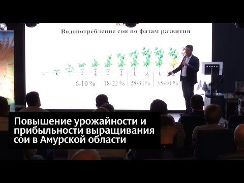 Видео: Повышение урожайности и прибыльности выращивания сои в Амурской области