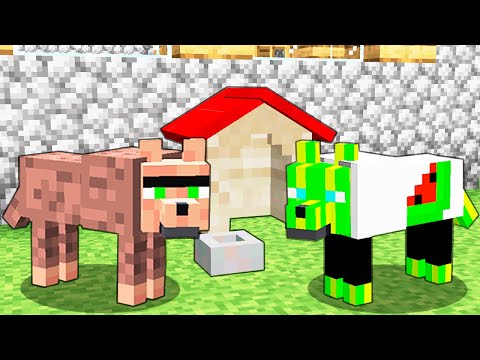 Видео: ЧОМУ МИ СТАЛИ СОБАКАМИ У МАЙНКРАФТІ