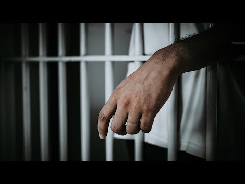 Видео: Телеканал «Турик и Конюшня» ✅ 29.01