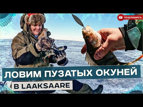 Видео: Ловля пузатых окуней в Лааксааре за островом Пирисар на Тёплом озере