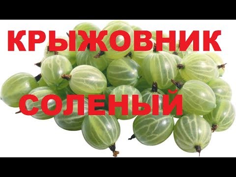 Видео: Крыжовник Соленый В маринаде По - Молдавски. И К Мясу И К Рыбе. Фруктовый Гарнир