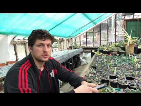 Видео: Мастер Георгий Аристов отвечает на вопросы подписчиков - 1