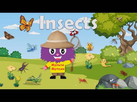 Видео: Insects. Комахи англійською мовою. Англійська для дітей.  English for kids. Kids vocabulary