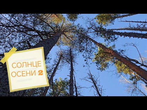 Видео: Солнце осени 2
