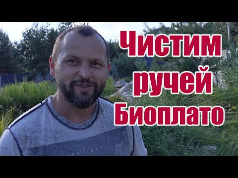 Видео: Чистим ручей биоплато