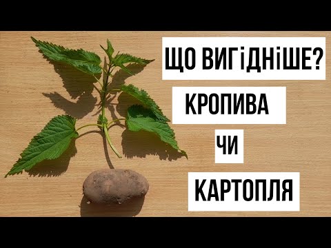 Видео: Кропива проти Картоплі: Що Приносить Більше Грошей?