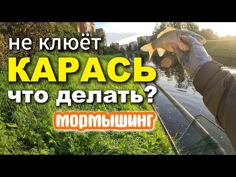Видео: Мормышинг: Как Заставить Карася Клевать. Мой опыт. #рыбалка #стритфишинг #карась