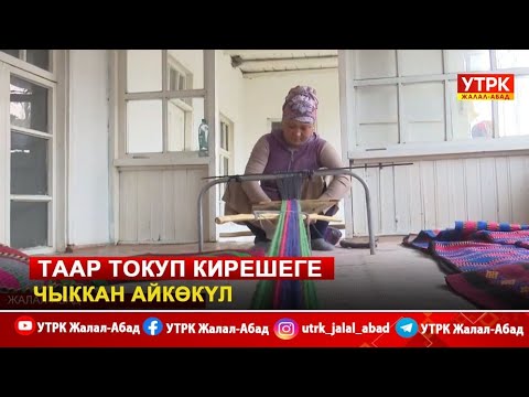 Видео: Таар токуп кирешеге чыккан Айкөкүл