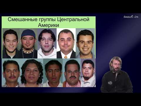 Видео: Дробышевский С.В. - Антропология - 13. Человеческие расы. Северная и Южная Америки
