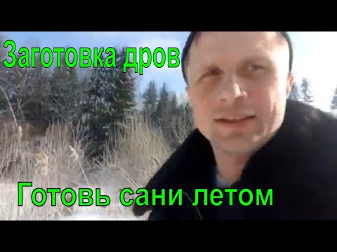 Видео: Заготовка дров )))часть1 из города в деревню