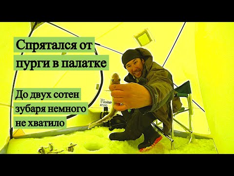 Видео: Спрятался от пурги в палатке. До двух сотен зубаря немного не хватило. Охотское море!